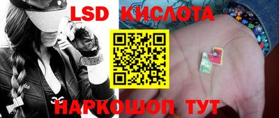 винт Кандалакша