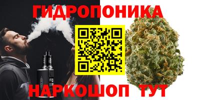 jwh Канаш