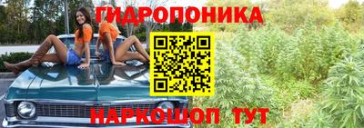 винт Кандалакша