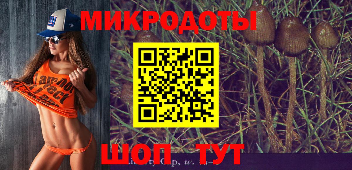 Псилоцибиновые грибы Psilocybine cubensis Комсомольск-на-Амуре